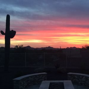 Meet your Posher, Craig